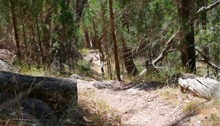Beechworth Rockgardens