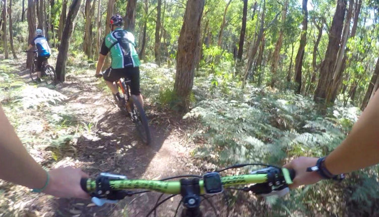 Forrest MTB Tour Australia