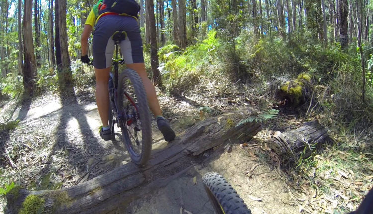 Forrest MTB Tour Australia