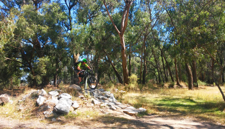 Lysterfield MTB Park Black Run