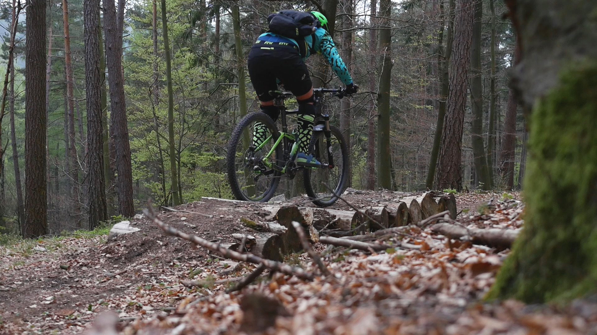 Bratschweg Holzstämme Hometrail Spessart Engländer