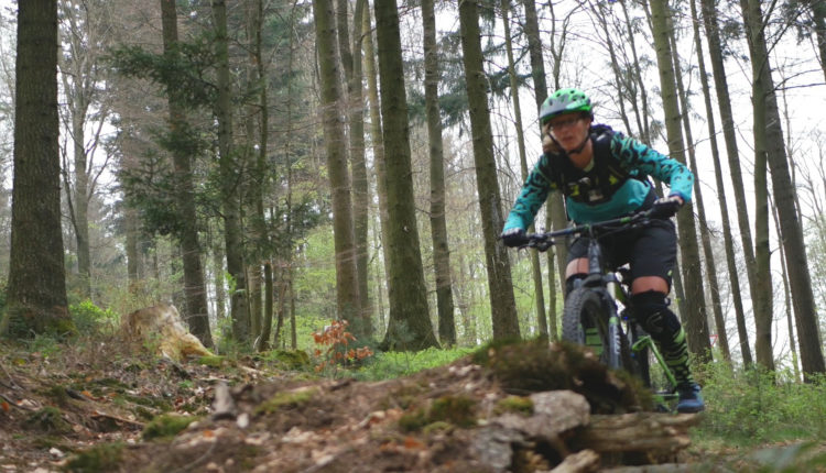 Bratschweg Hometrail Spessart Engländer