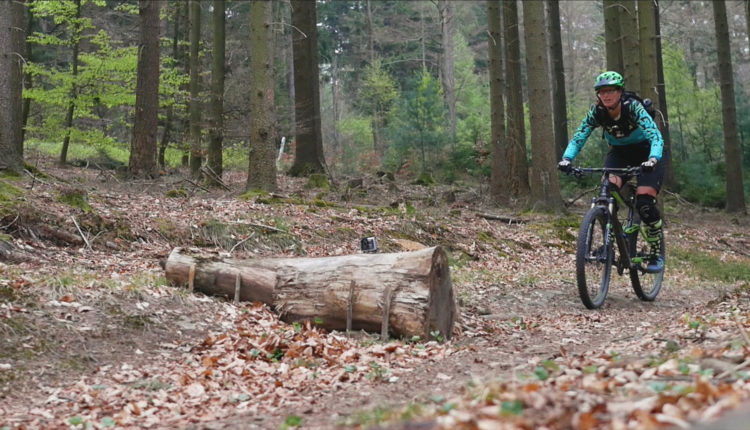 Bratschweg Hometrail Spessart Engländer