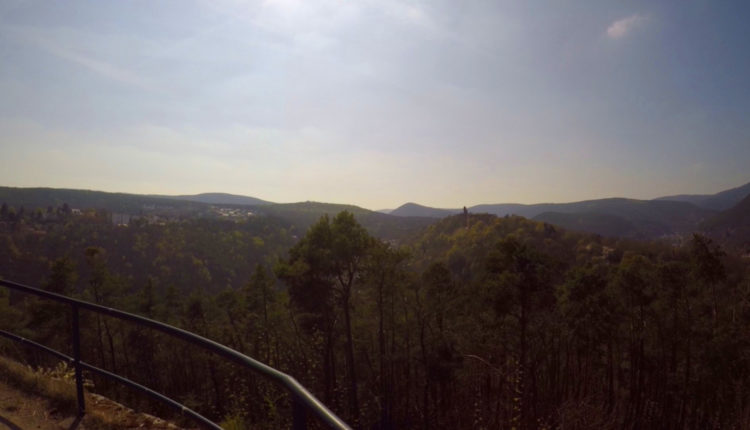 Pfalz Ausblick