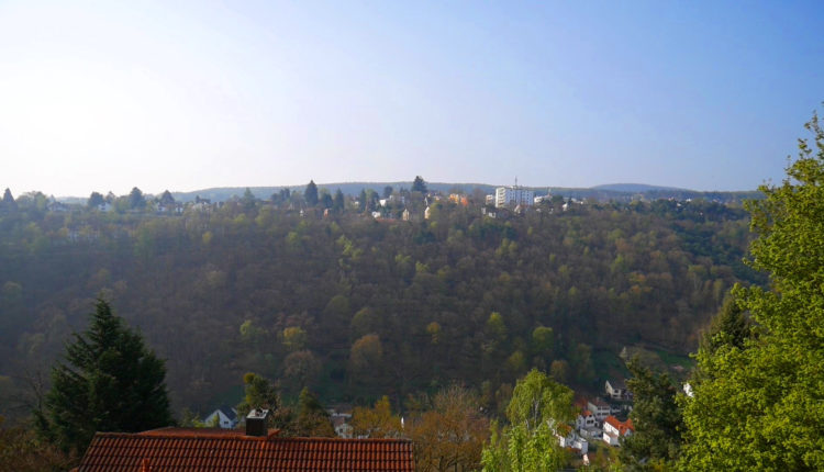 Pfalz Aussicht