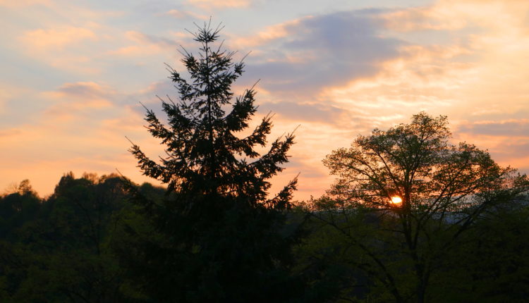 Pfalz Bad Dürkheim sunset