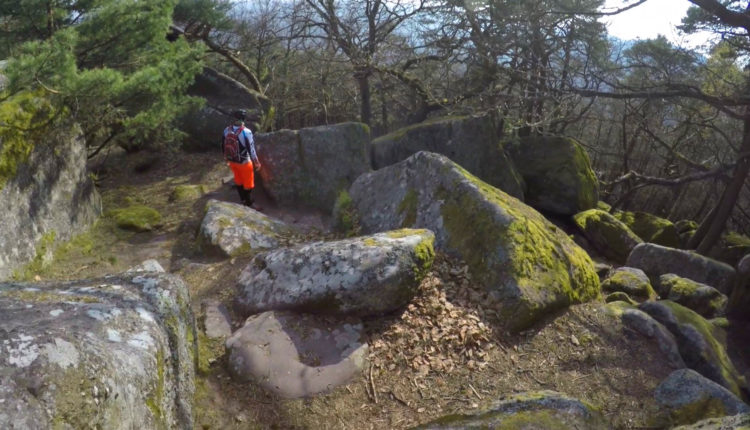 Pfalz Felsen Klettern