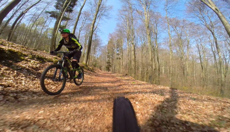 Pfalz Trail