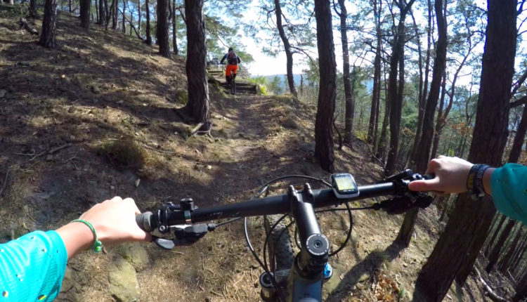 Pfalz Trail Uphill