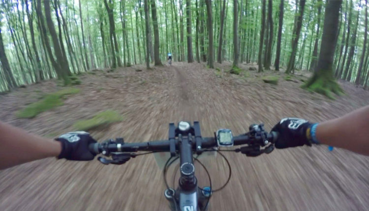 Wombach Marathon Trail