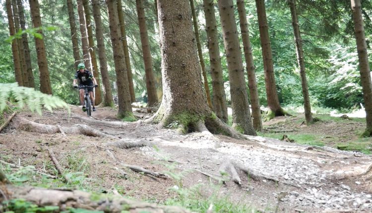 Taunus Flowtrail Feldberg