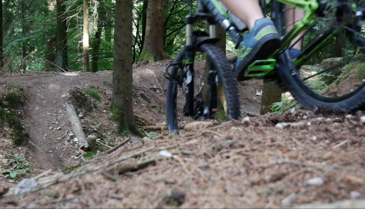 Taunus Flowtrail Feldberg