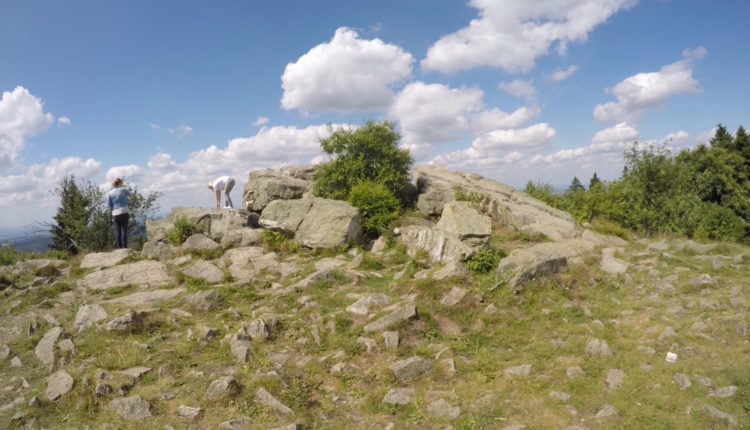 Taunus Flowtrail Feldberg