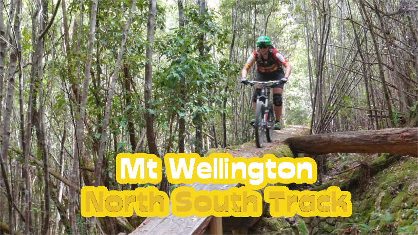 Mount Wellington North South Track