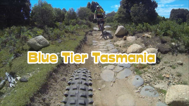 Blue Tier Trails in Tasmanien