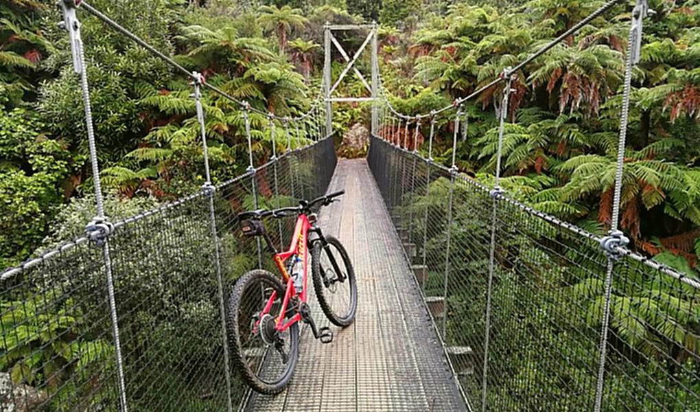 Neuseeland Timber Trail