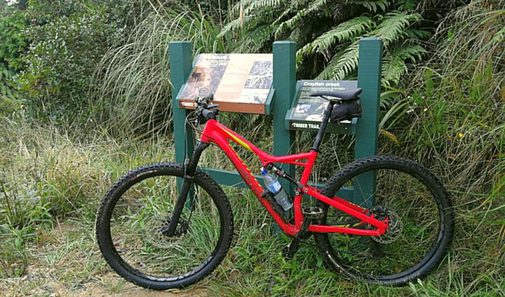 Neuseeland Timber Trail Specialized Camper