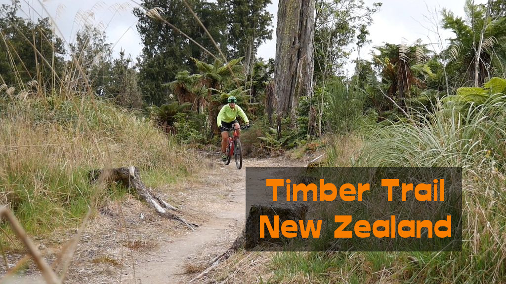 Timber Trail New New Zealand