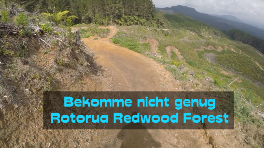 Rotorua Redwood Forest