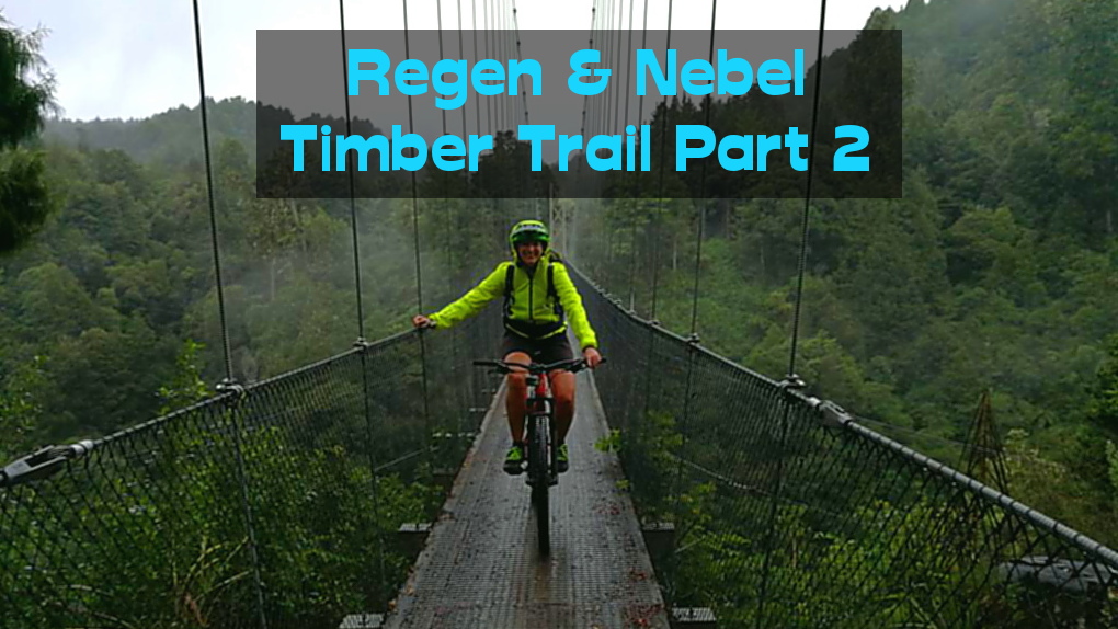Timber Trail in Neuseeland