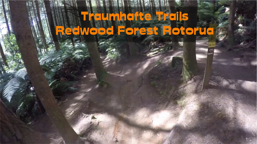 Traumhafte Trails im Redwood Forest Rotorua