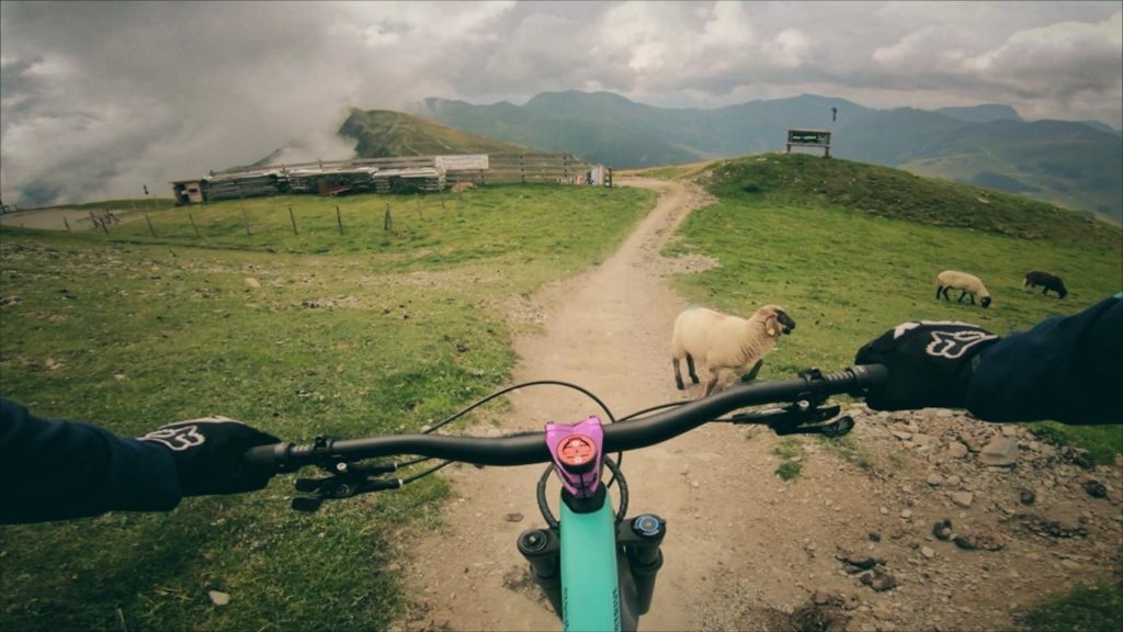 Hackelbergtrail in Saalbach